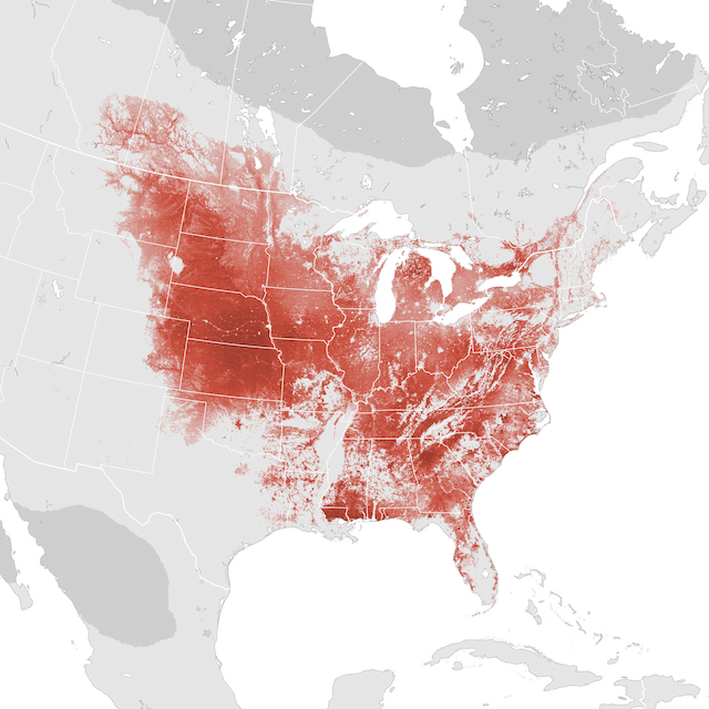 Abundance Map