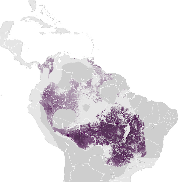 Abundance Map