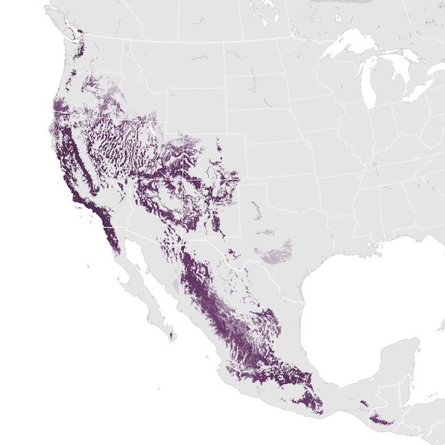 Abundance Map