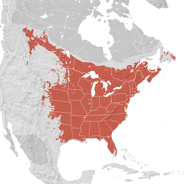 Range Map