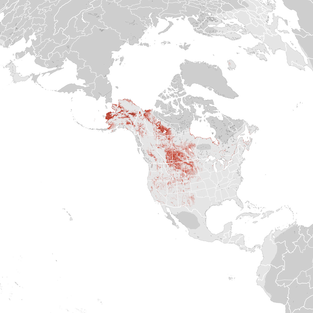 Abundance Map
