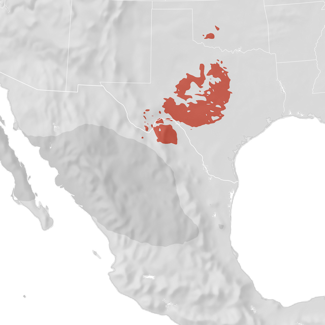 Range Map