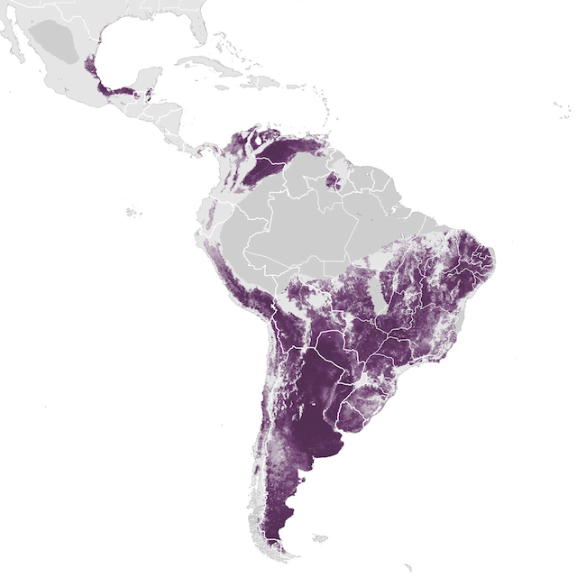 Abundance Map
