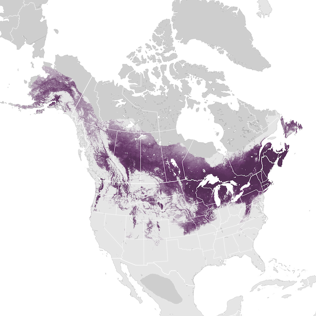 Abundance Map