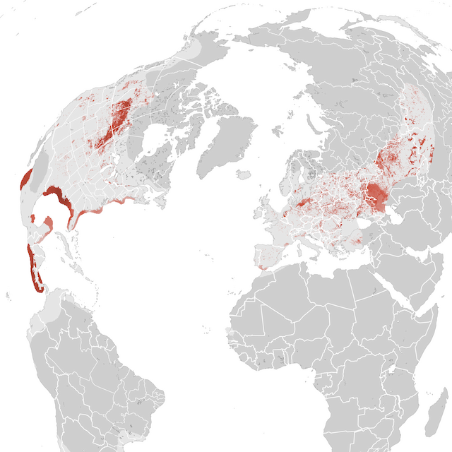 Abundance Map