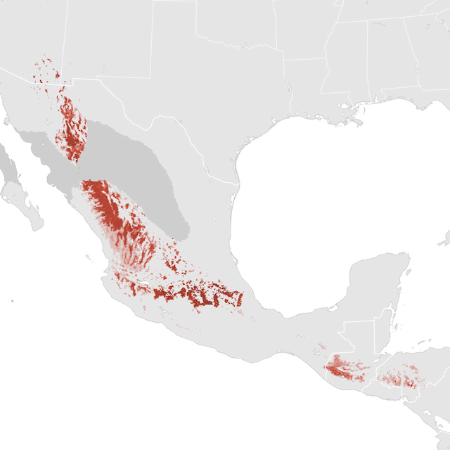 Abundance Map