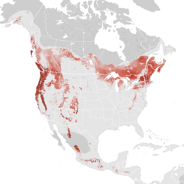 Abundance Map