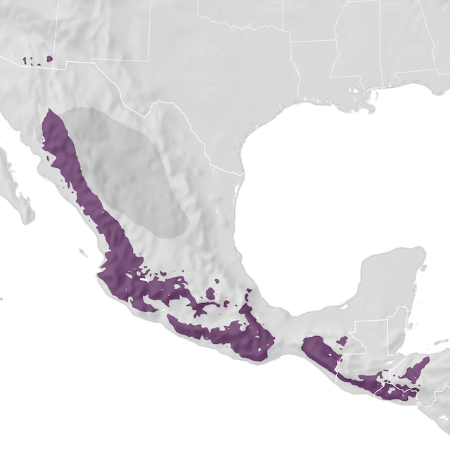 Range Map