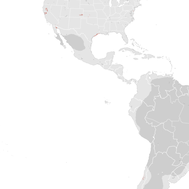 Abundance Map