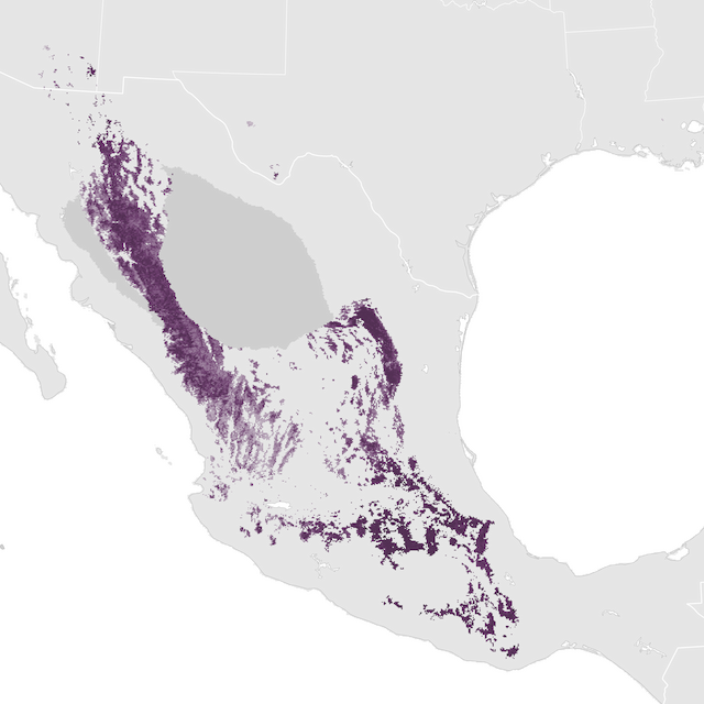 Abundance Map