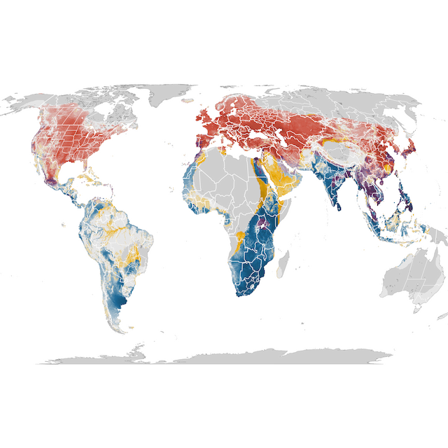 Mapa abundance