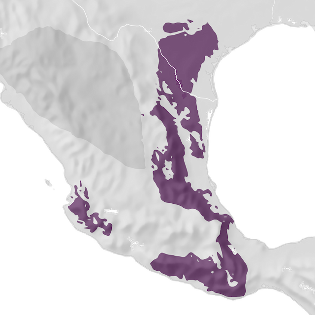 Range Map