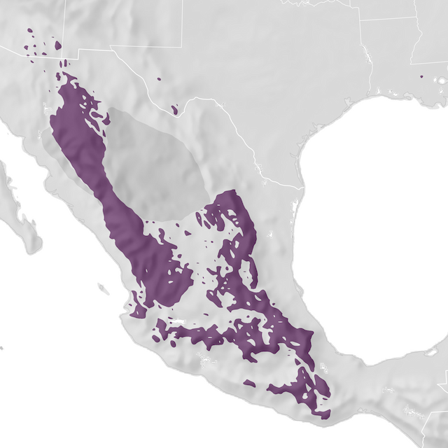 Range Map