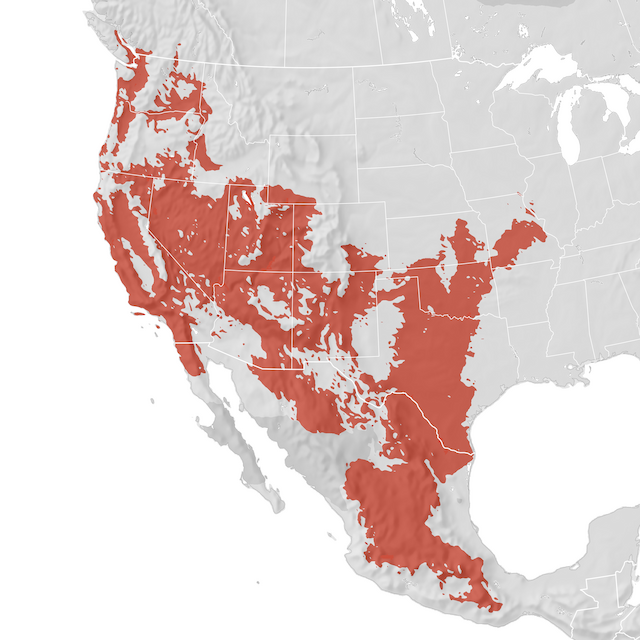Range Map