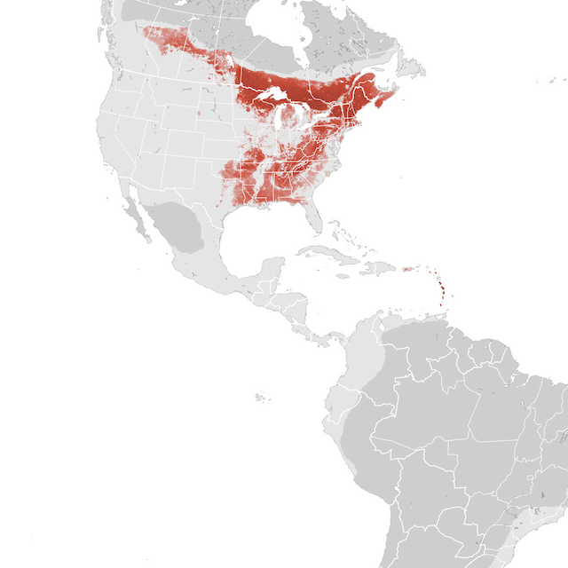 Abundance Map