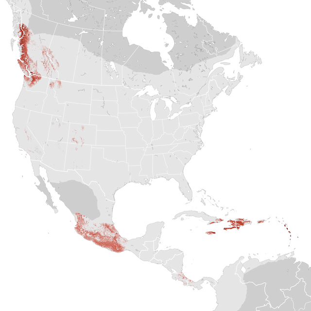 Abundance Map