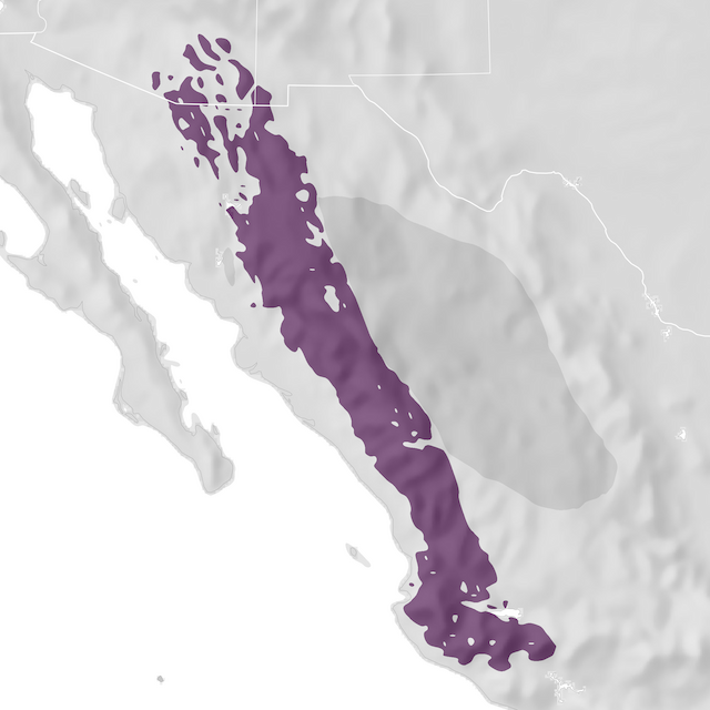 Range Map