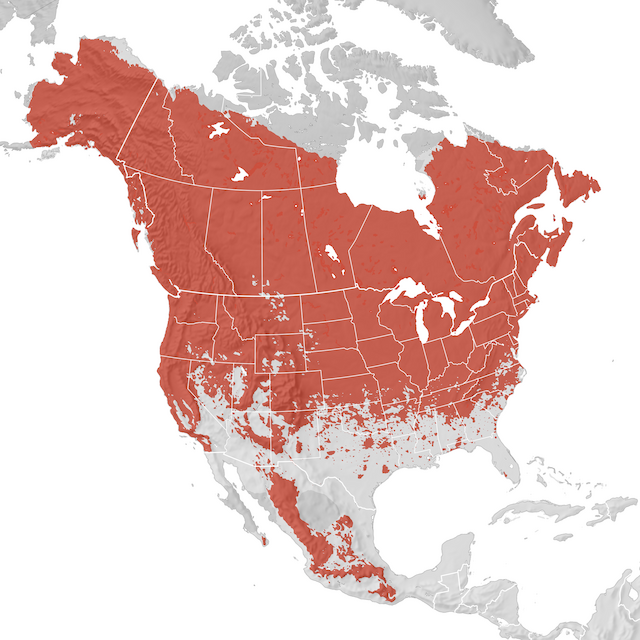 Range Map