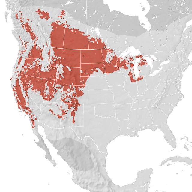 Range Map