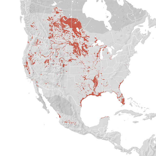 Range Map