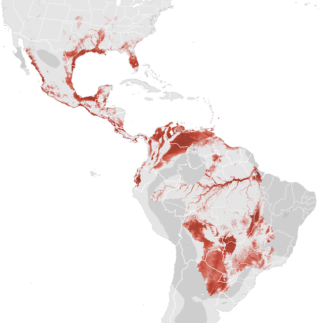 Abundance Map