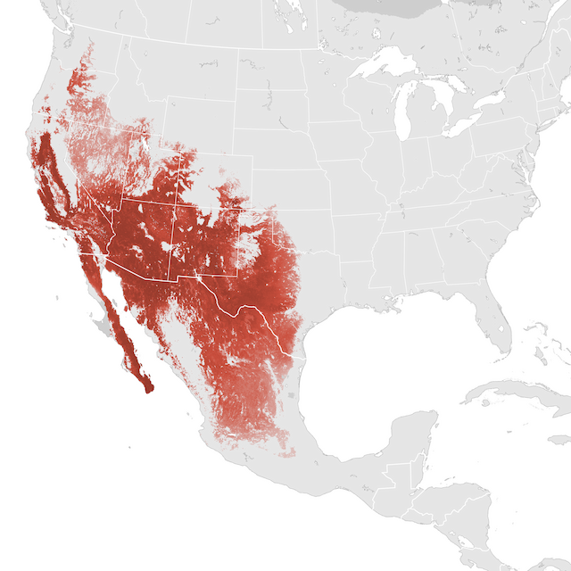 Abundance Map