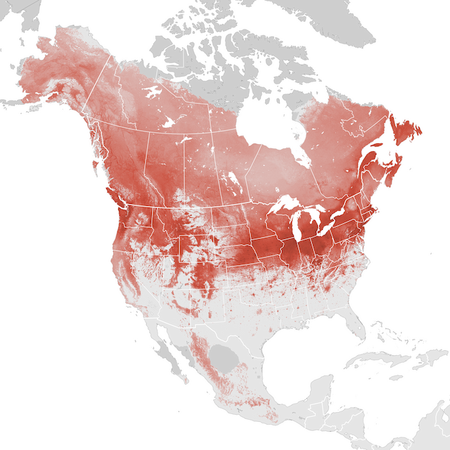 Abundance Map