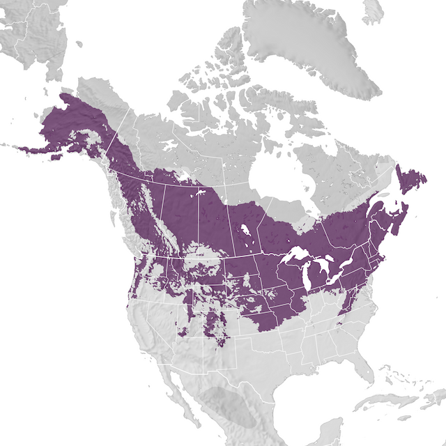 Range Map