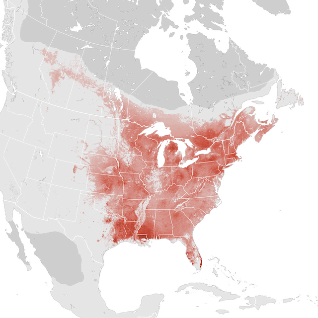 Abundance Map