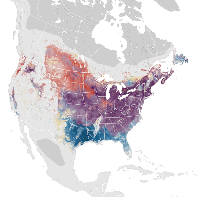 Abundance Map