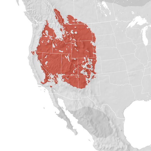 Range Map