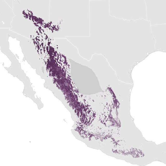 Abundance Map