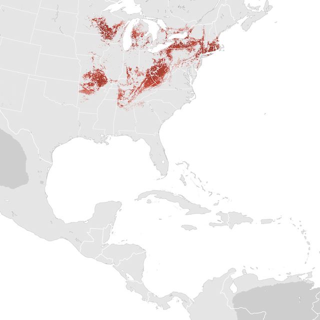 Abundance Map
