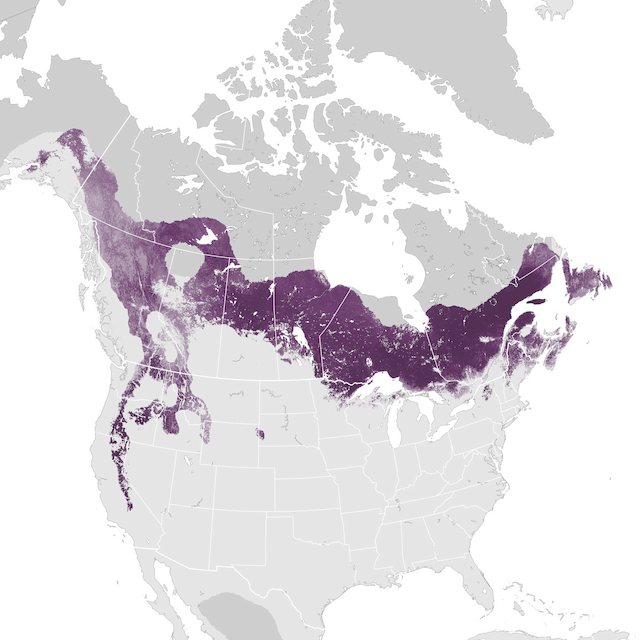 Abundance Map
