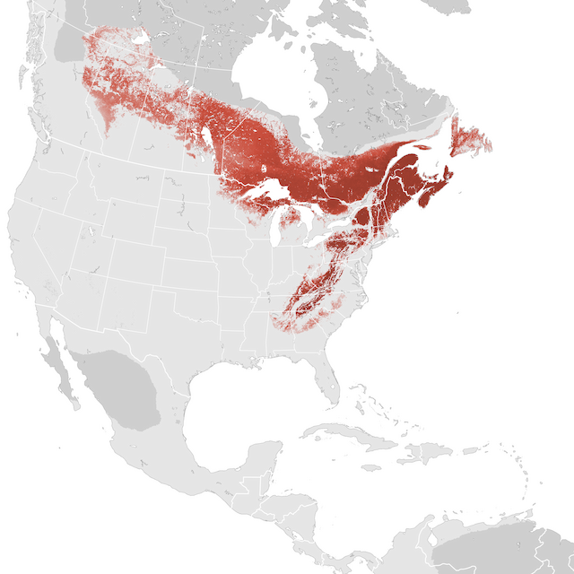 Abundance Map