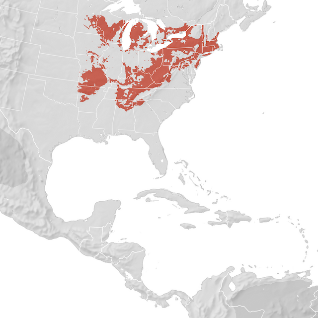 Range Map