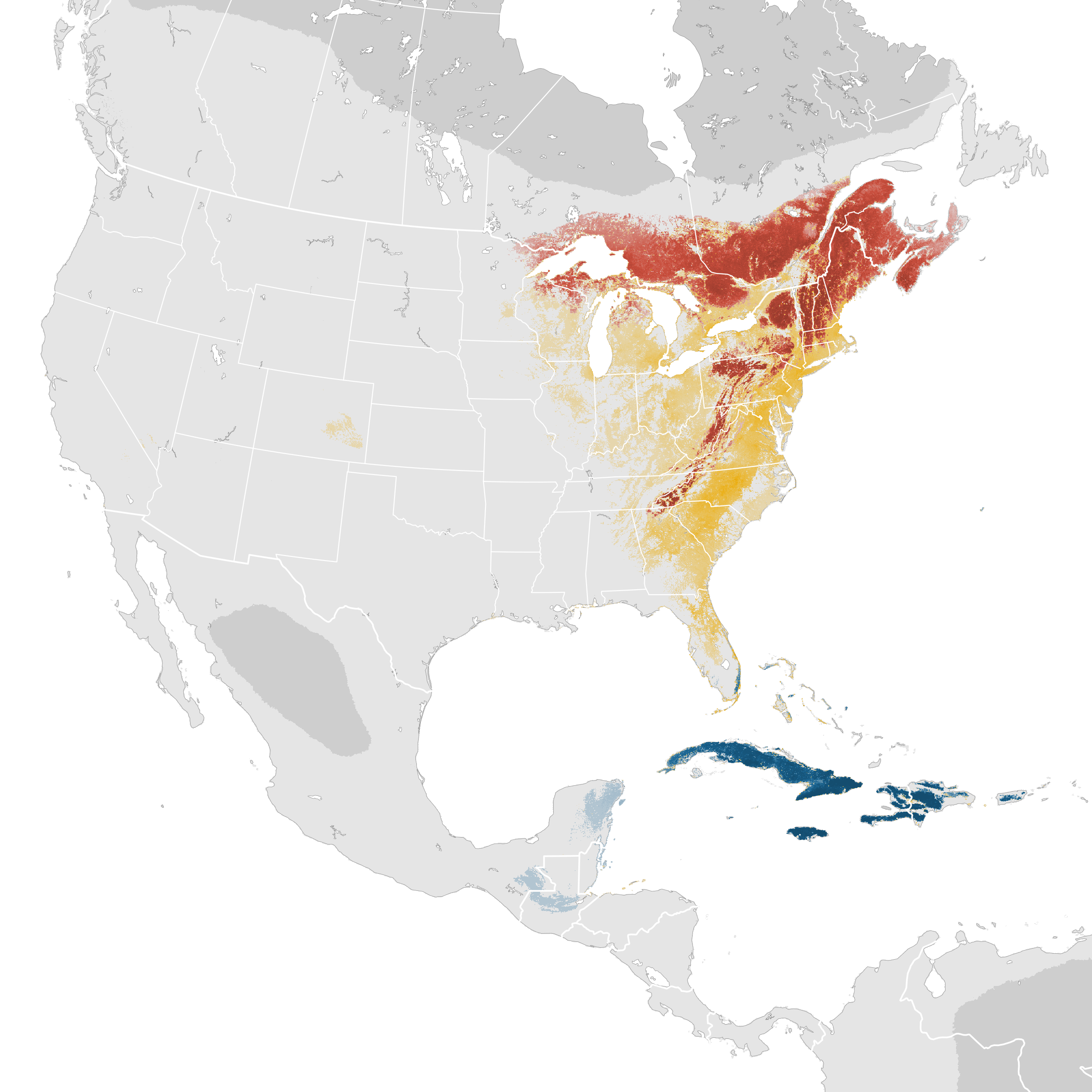 Dark-eyed Junco - Junco hyemalis - Birds of the World, image size:2400x2400
