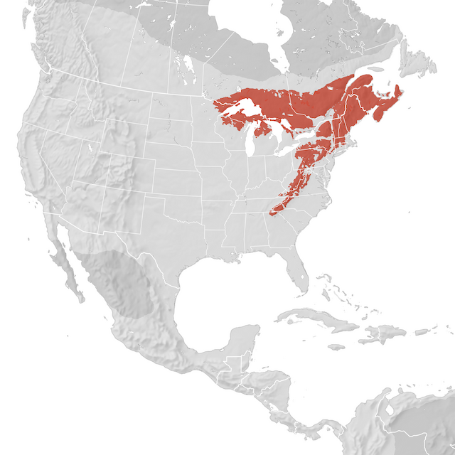 Range Map