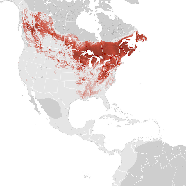 Abundance Map