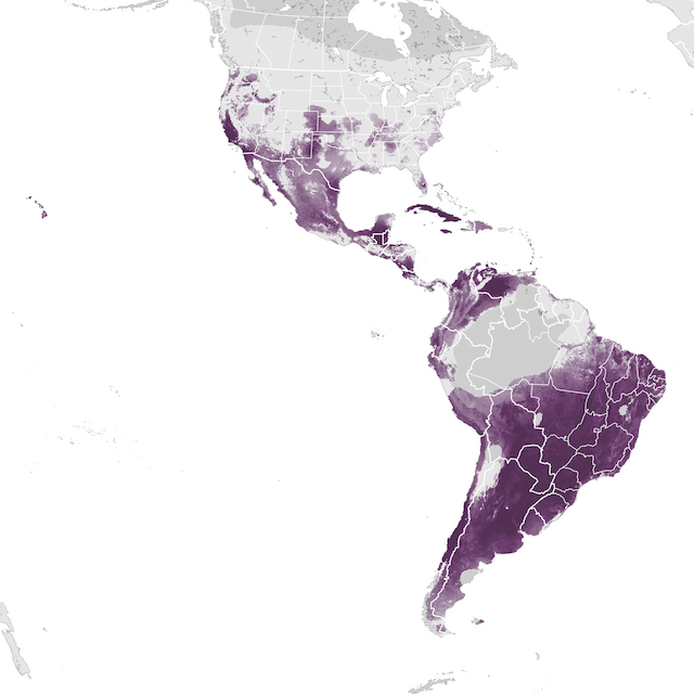 Abundance Map