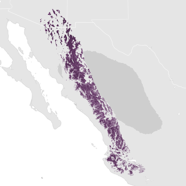 Abundance Map