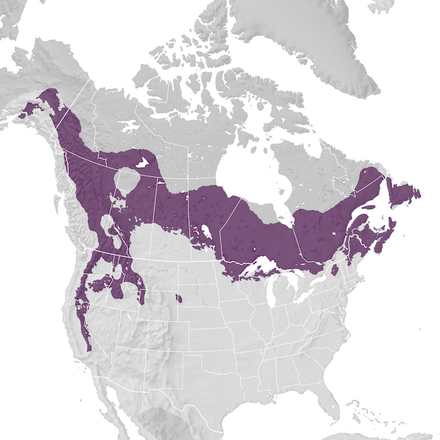 Range Map