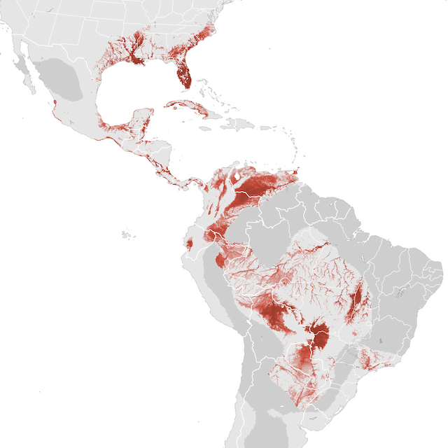 Abundance Map