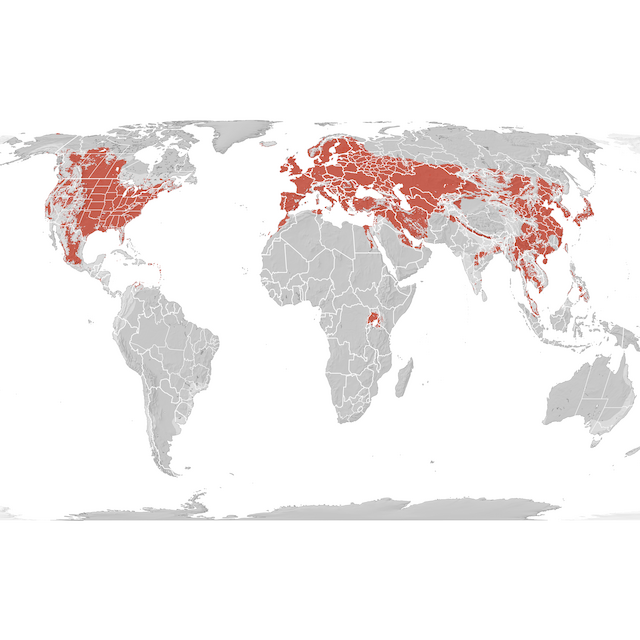Range Map