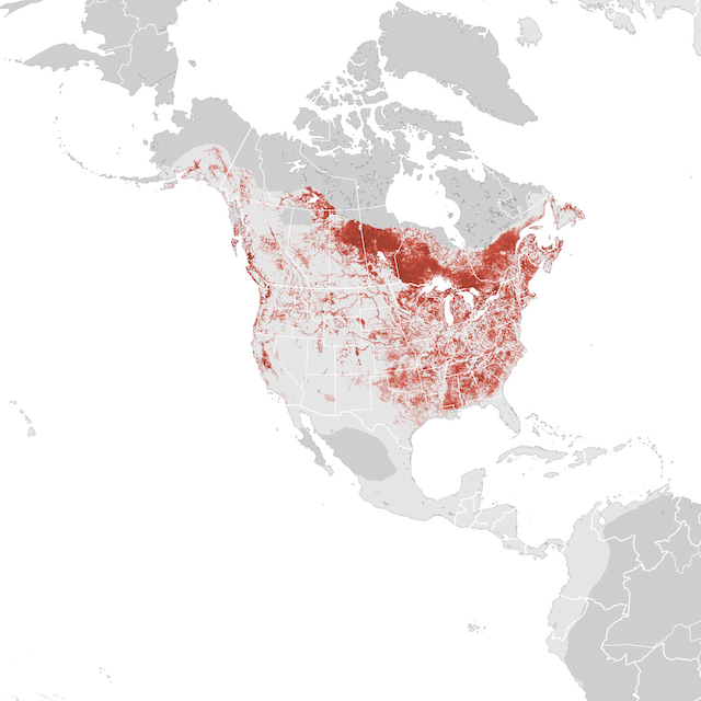 Abundance Map