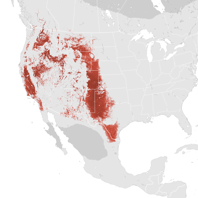 Abundance Map