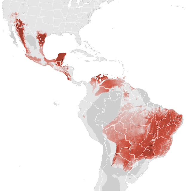 Abundance Map