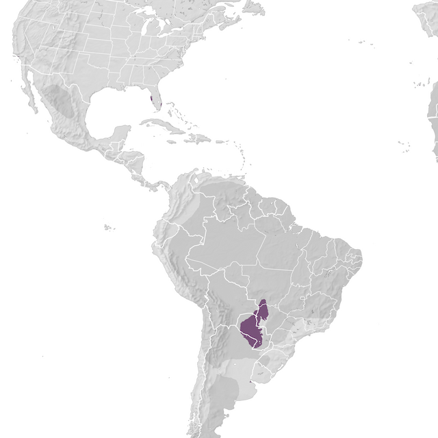 Range Map