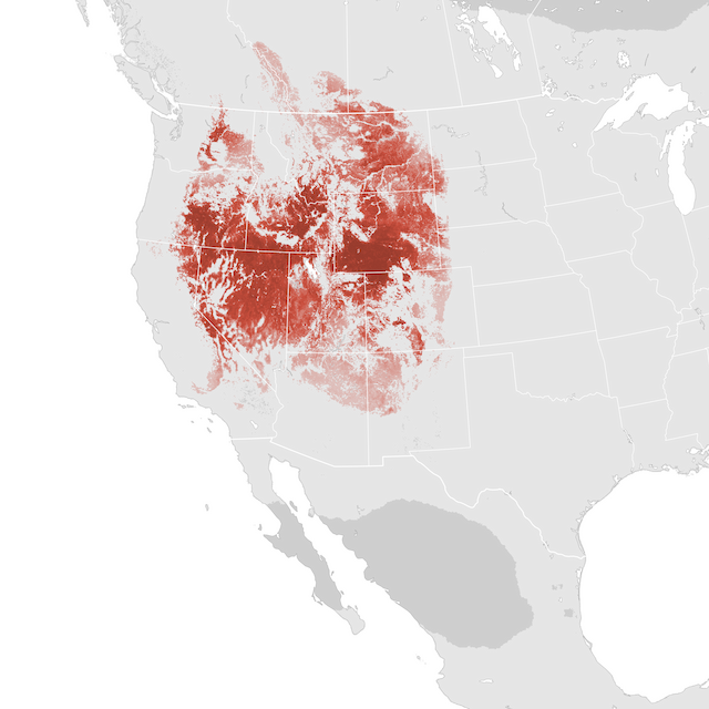 Abundance Map