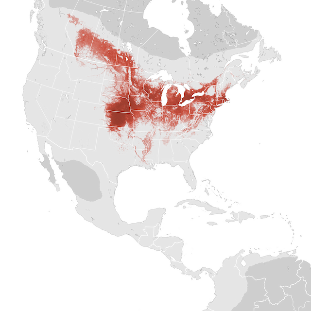 Abundance Map
